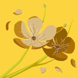 Meet your Posher, Ella